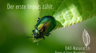 DAO-Natural Power of Silent Movement 12