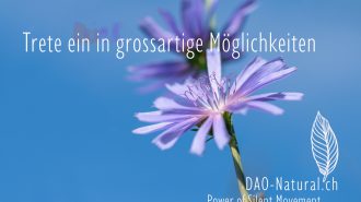 DAO-Natural Power of Silent Movement 16