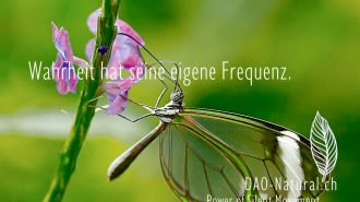 DAO-Natural Power of Silent Movement 2