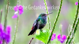 DAO-Natural Wege in Deine grösste Kraft 151