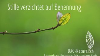 DAO-Natural Wege in Deine grösste Kraft 165