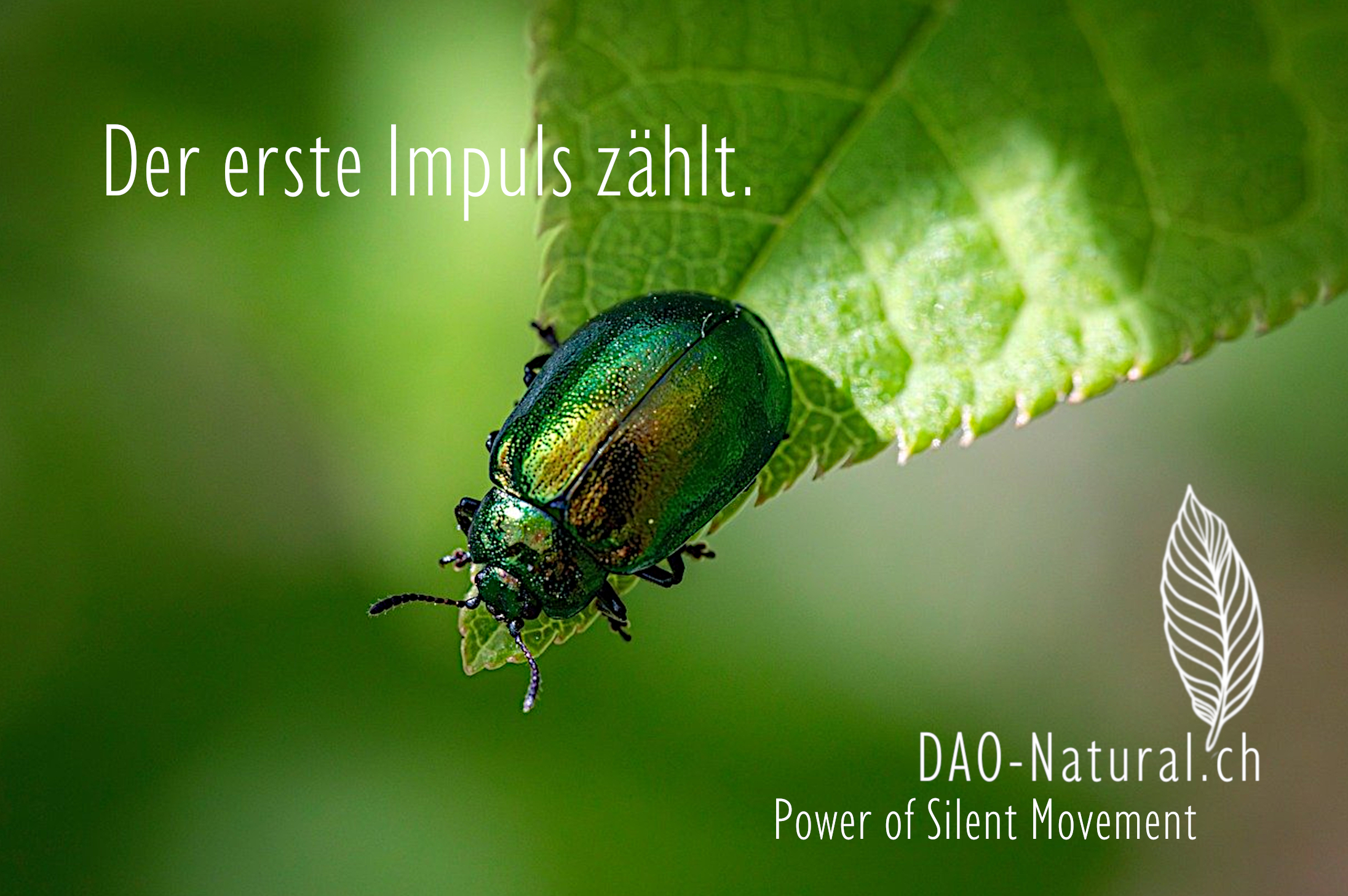 DAO-Natural Power of Silent Movement 12
