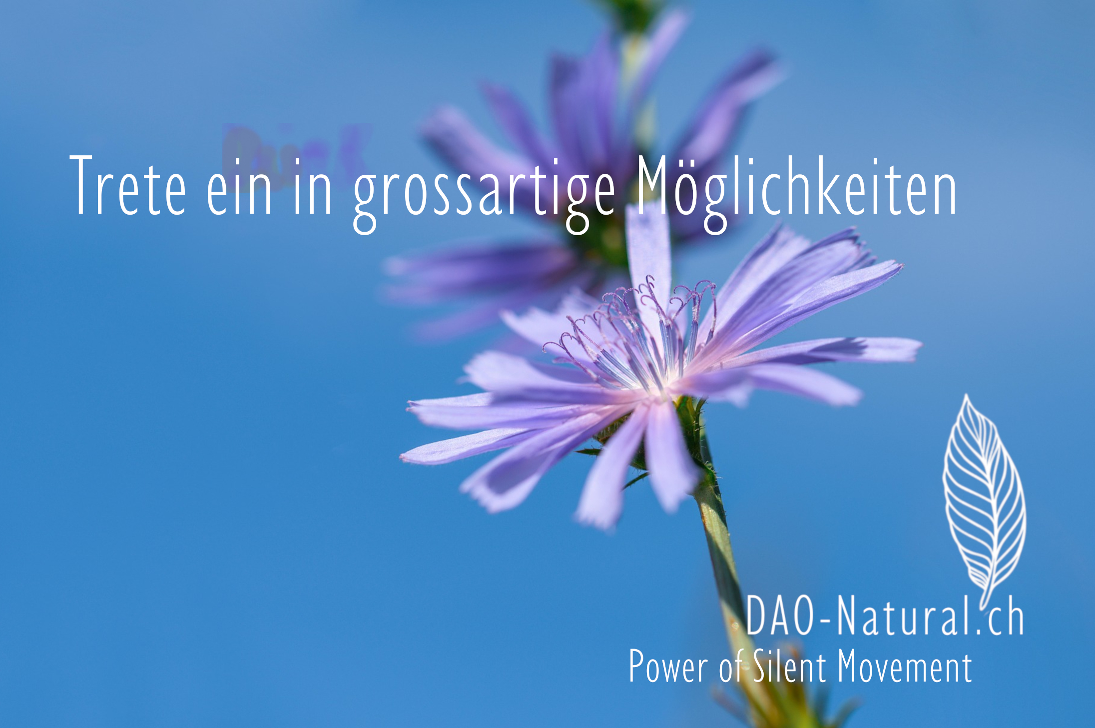 DAO-Natural Power of Silent Movement 16