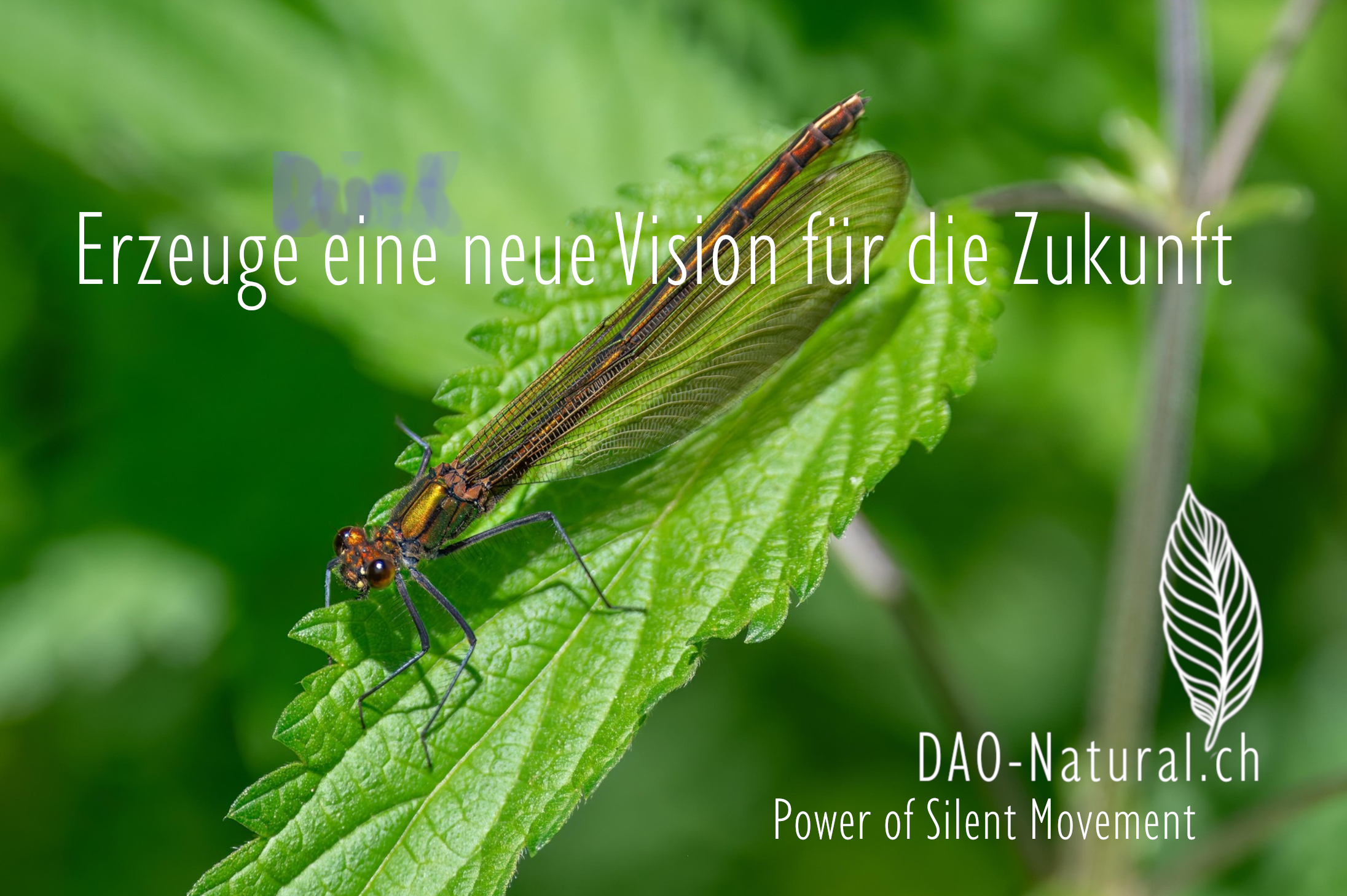 DAO-Natural Power of Silent Movement 19