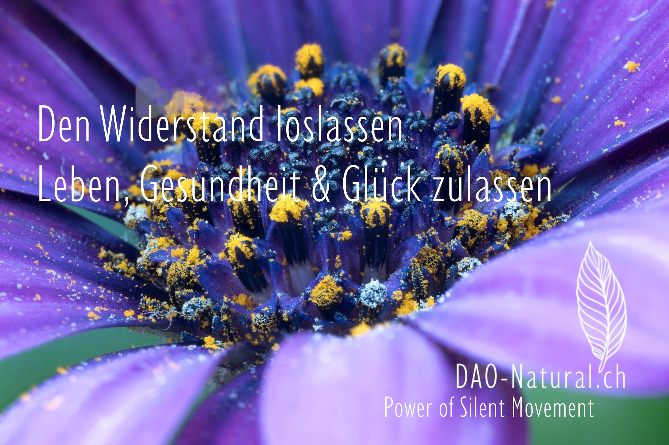 DAO-Natural Power of Silent Movement 20