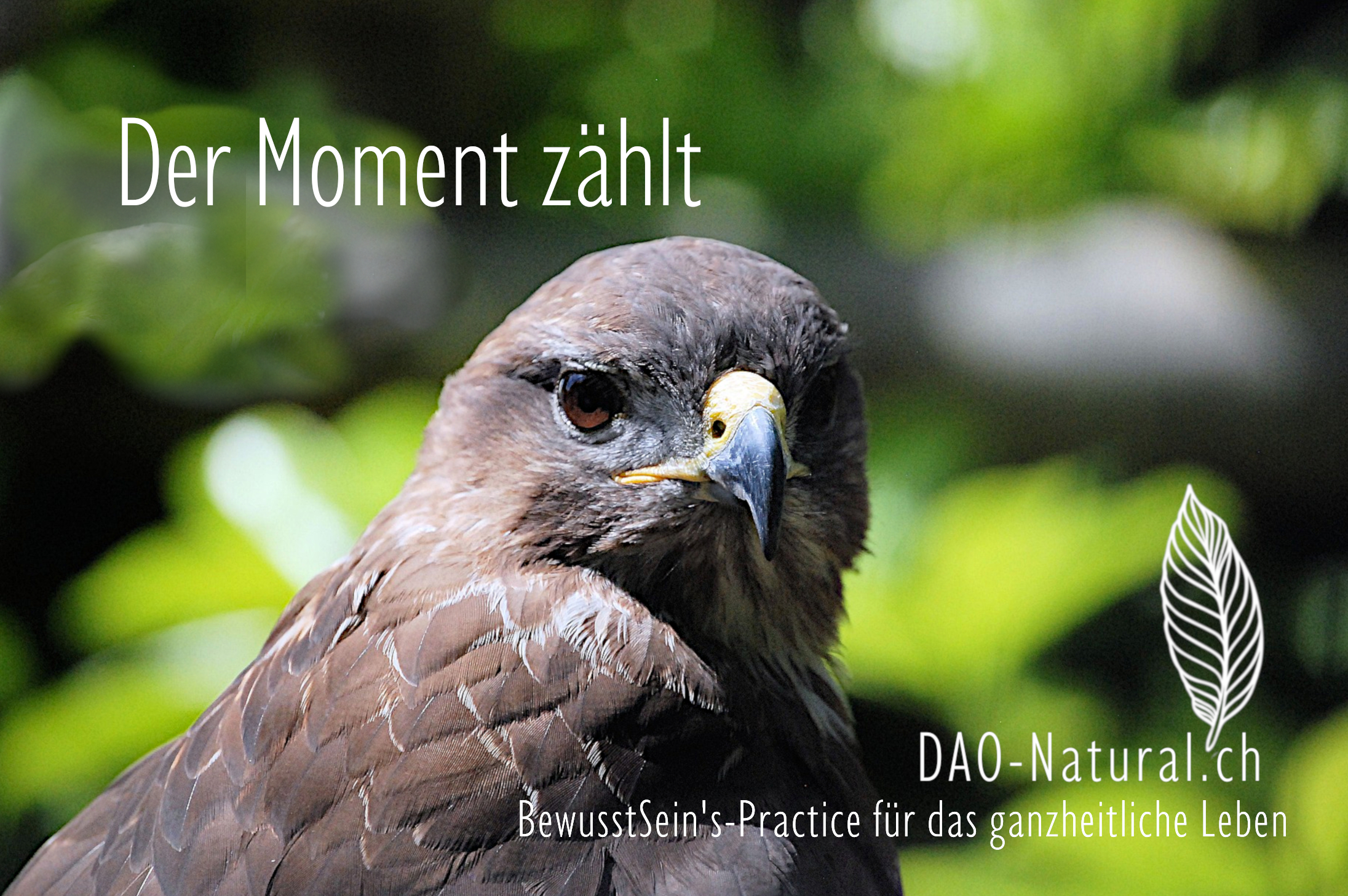 DAO-Natural Wege in Deine grösste Kraft 125