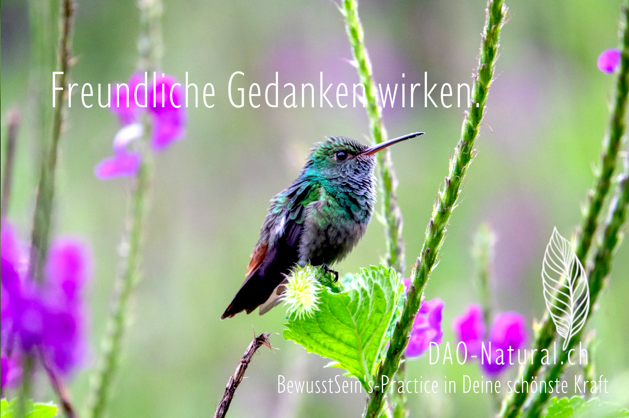 DAO-Natural Wege in Deine grösste Kraft 151