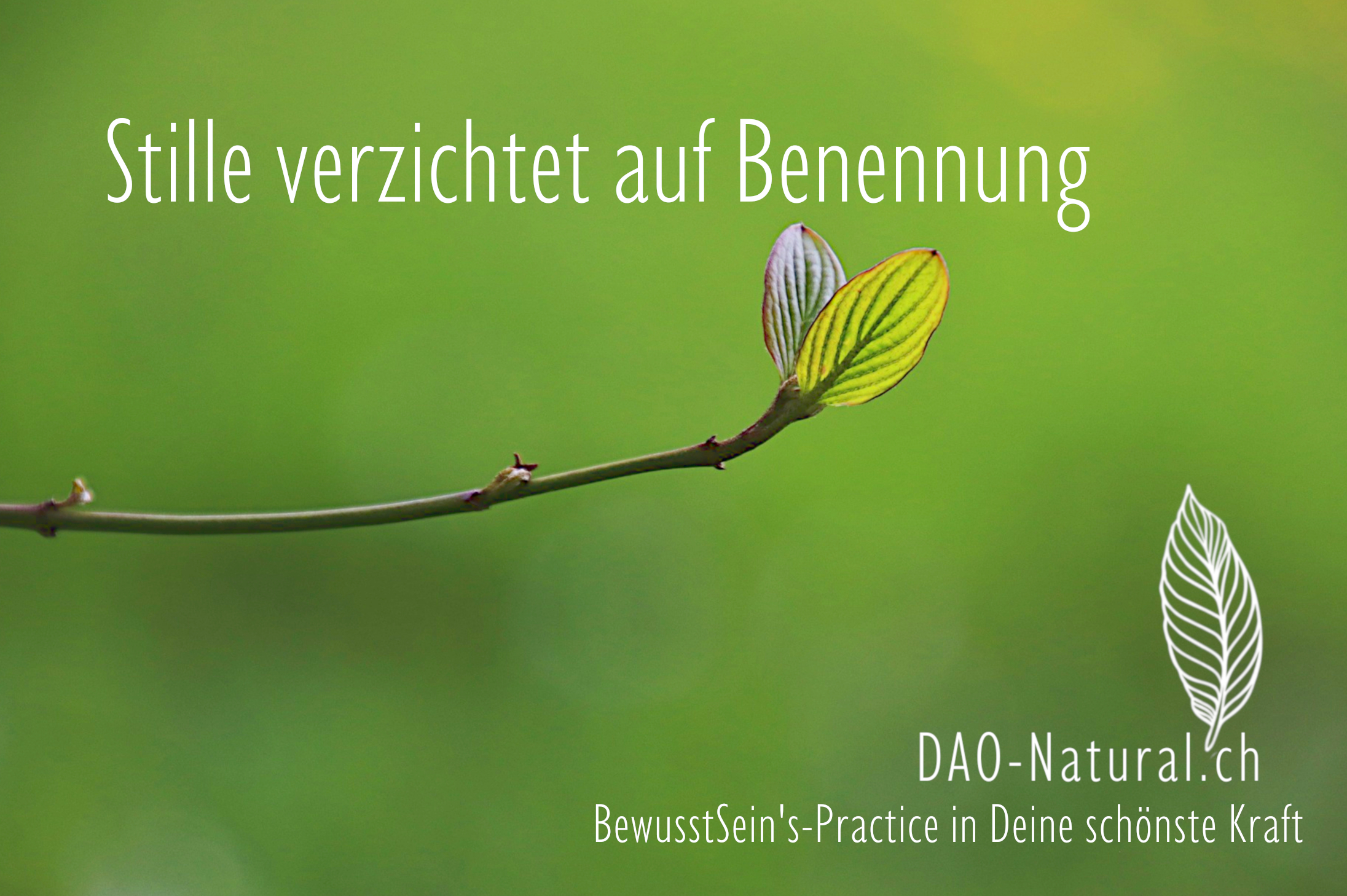DAO-Natural Wege in Deine grösste Kraft 165